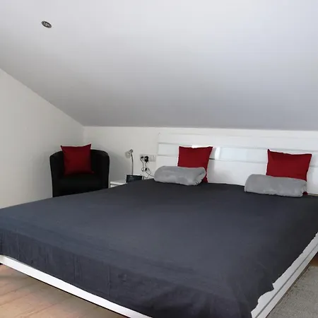 Schottar Mg 07 도른비른